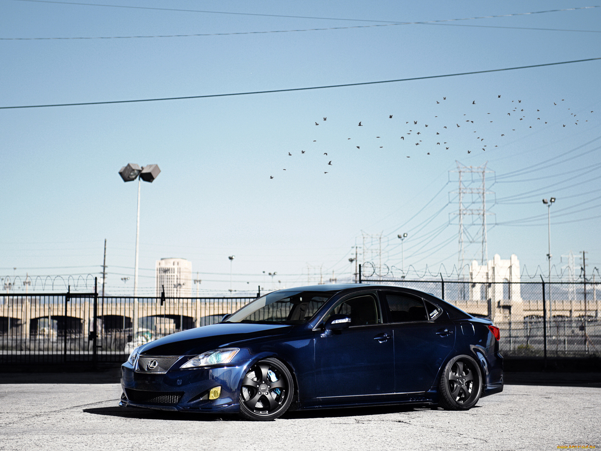 , lexus